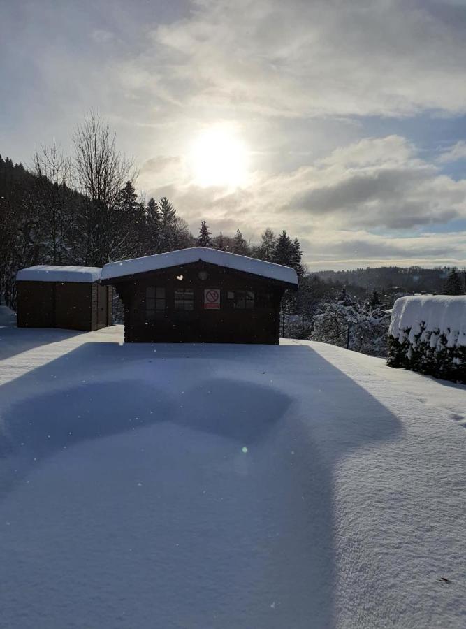 Blue Pension Svoboda nad Úpou Esterno foto