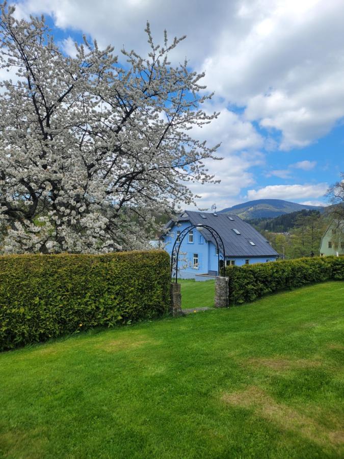 Blue Pension Svoboda nad Úpou Esterno foto