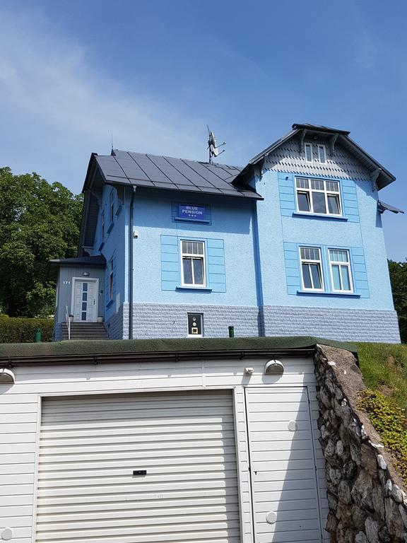 Blue Pension Svoboda nad Úpou Esterno foto