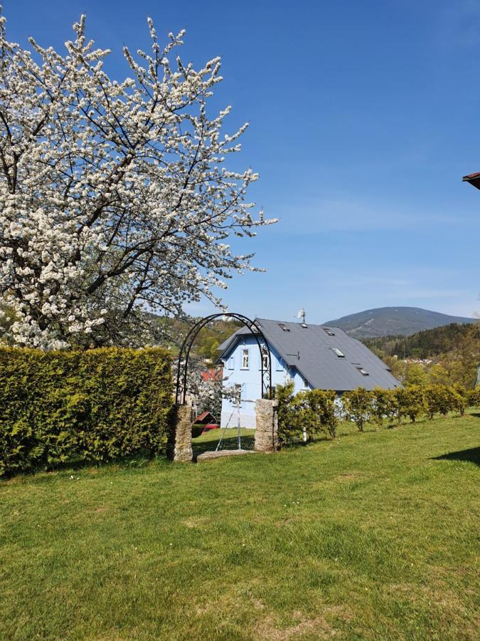 Blue Pension Svoboda nad Úpou Esterno foto