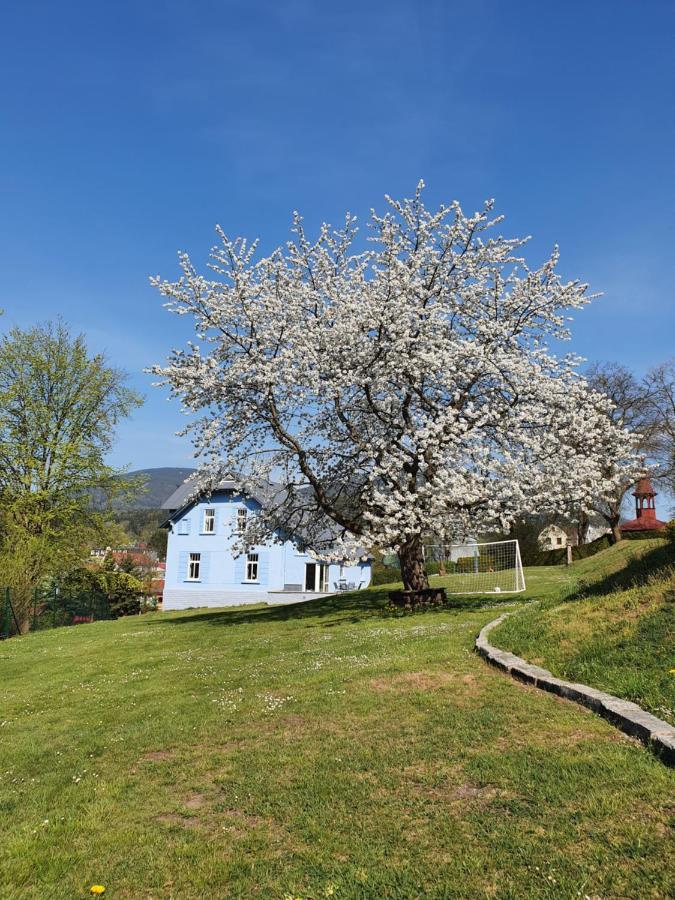 Blue Pension Svoboda nad Úpou Esterno foto